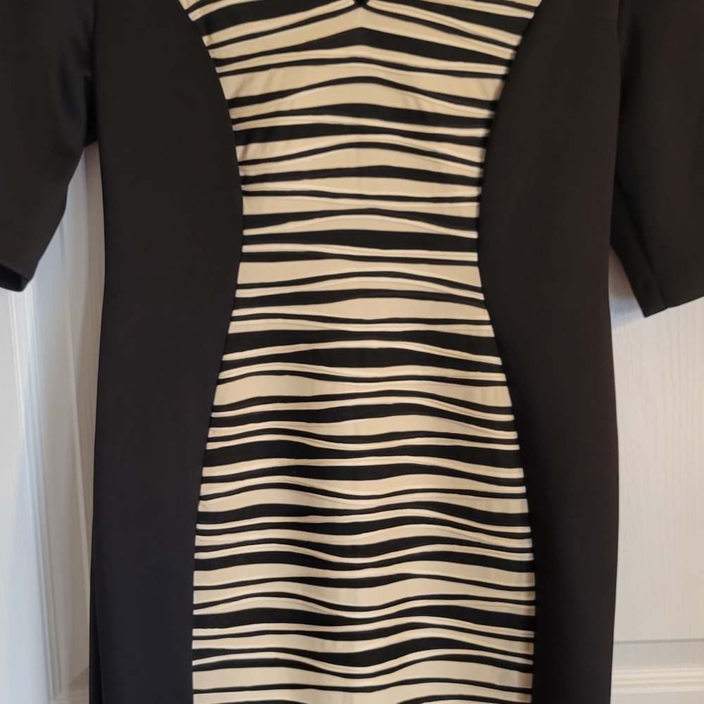 Elegant Black and Cream Dress